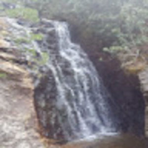 Meet your Posher, Adrien